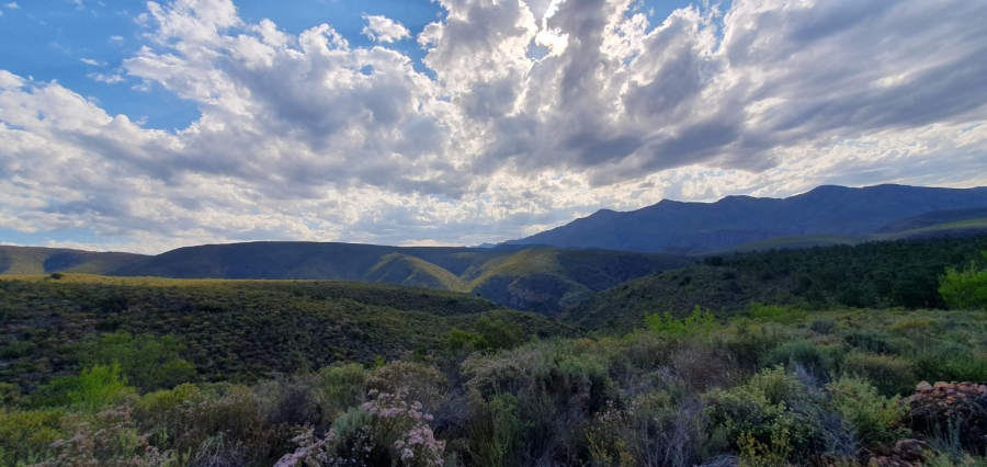 10 Bedroom Property for Sale in Joubertina Eastern Cape